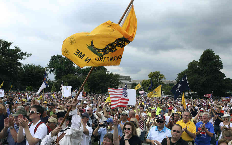 The crowd cheers speaker Glenn Beck (not pictured) during a Tea Party rally to "Audit the IRS" in front of the U.S. Capitol on June 19.